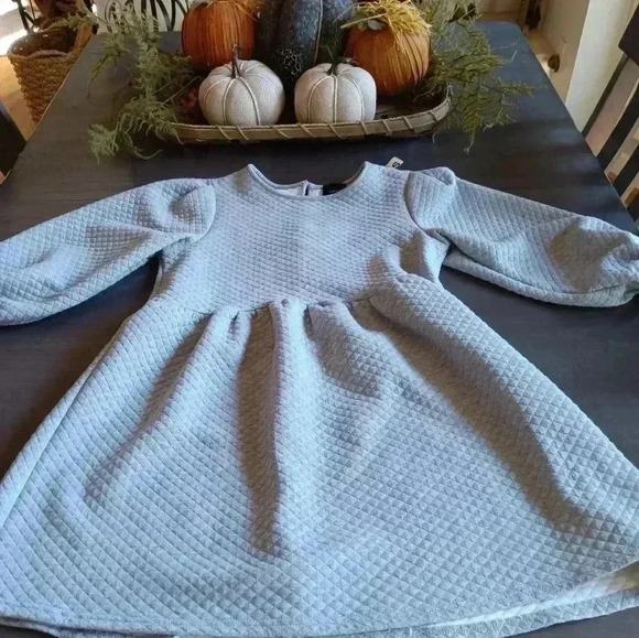 Lumiere Sweatshirt Dress NWOT - Picture 1 of 5